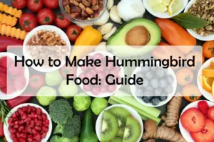 How to Make Hummingbird Food: Guide